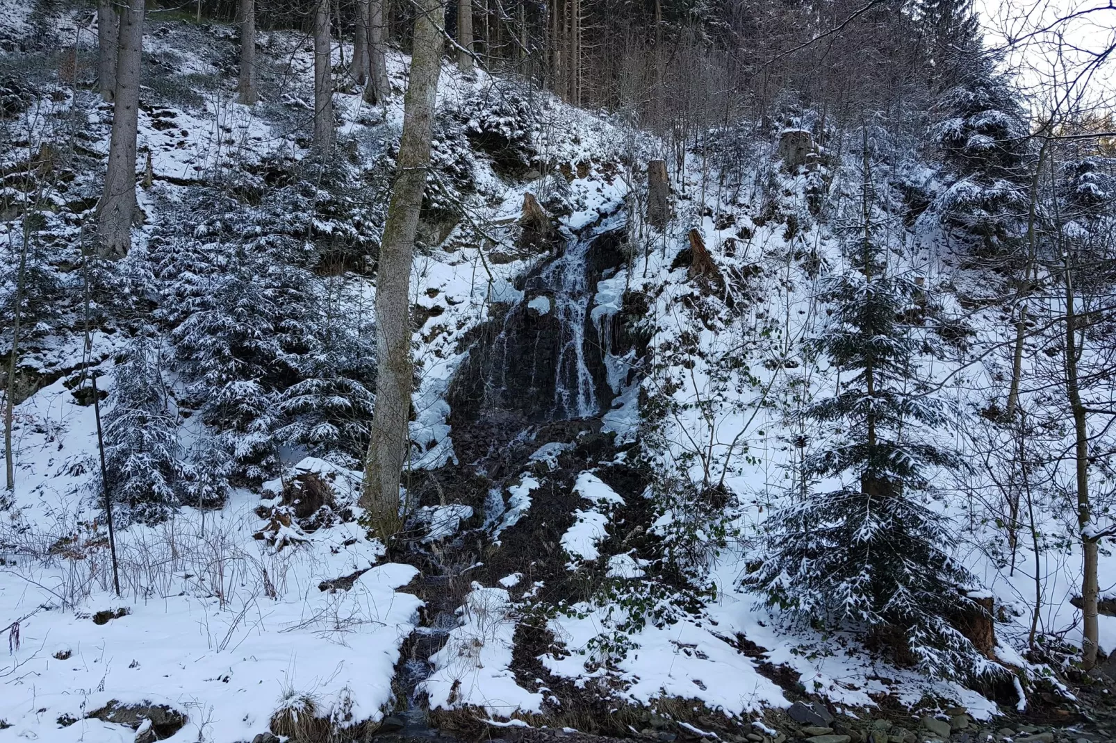 Spiegeltal-Area winter 20km