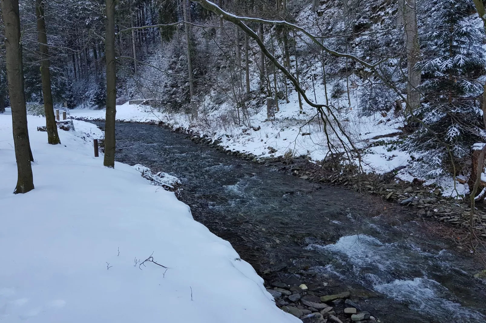 Spiegeltal-Area winter 20km