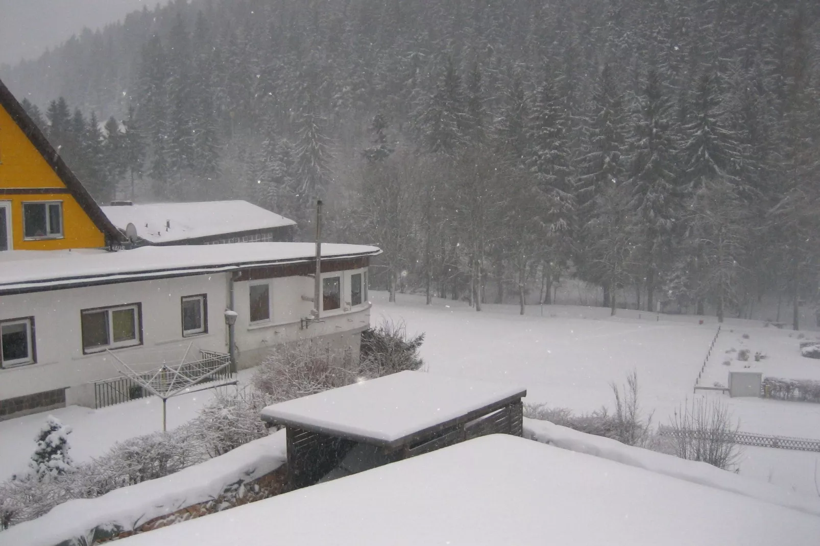 Wildemann-View winter