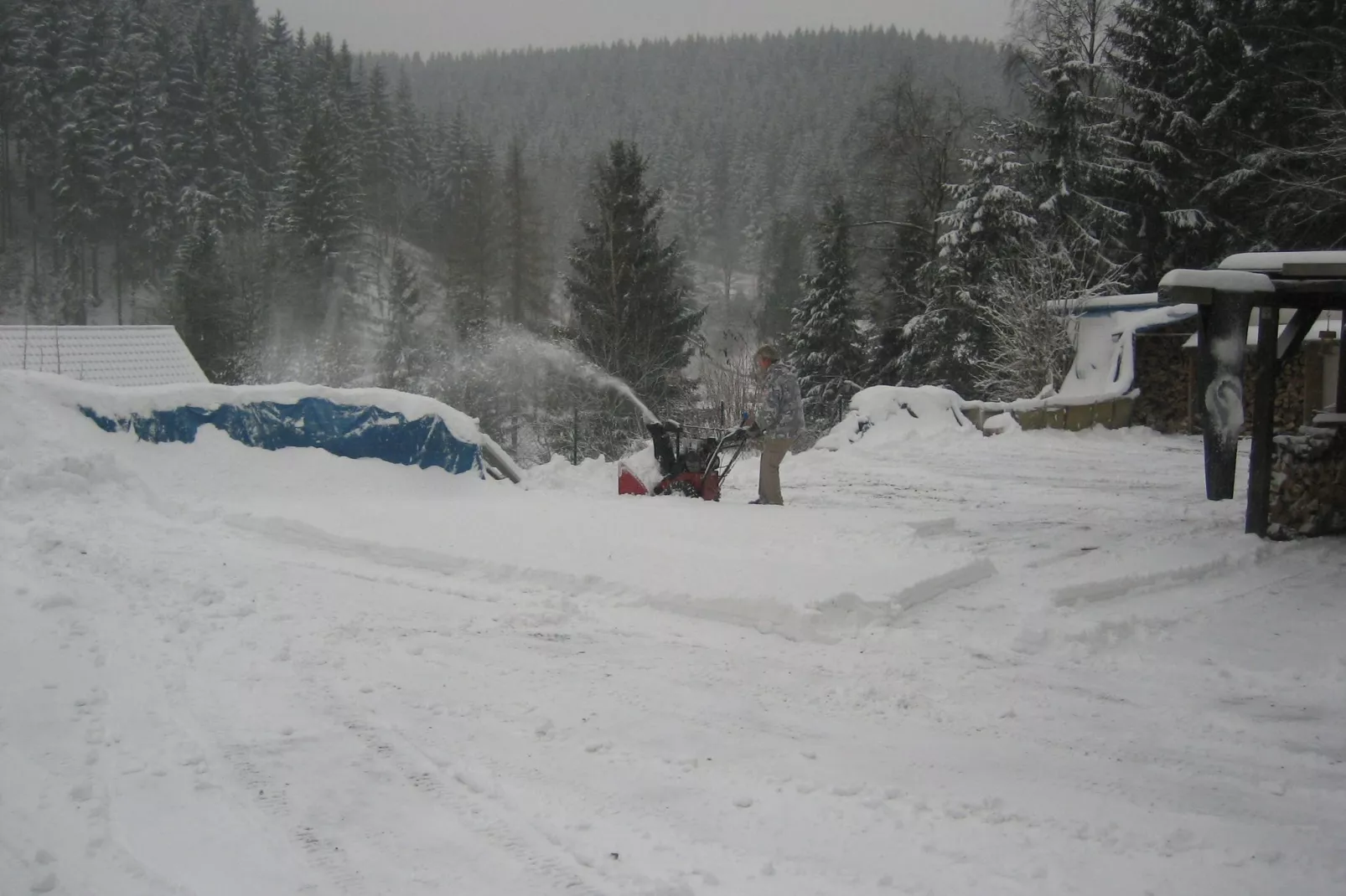 Wildemann-Area winter 1km