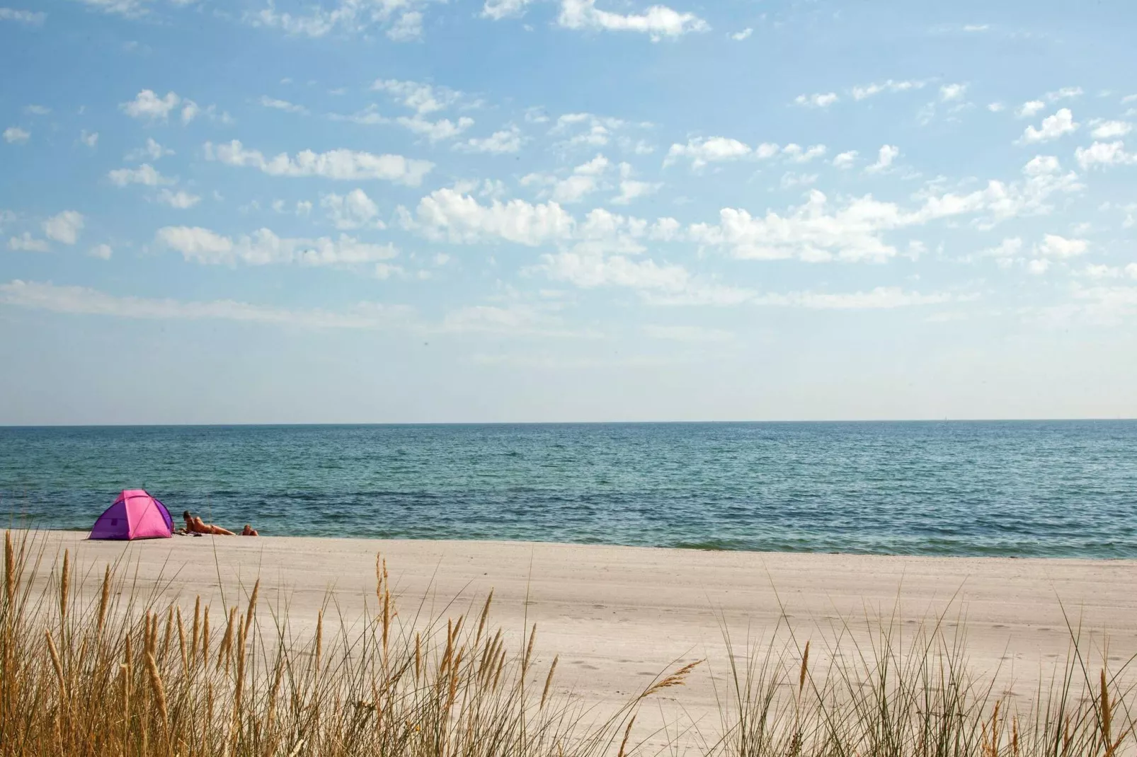 3 room, close to the sea/dike-Untagged