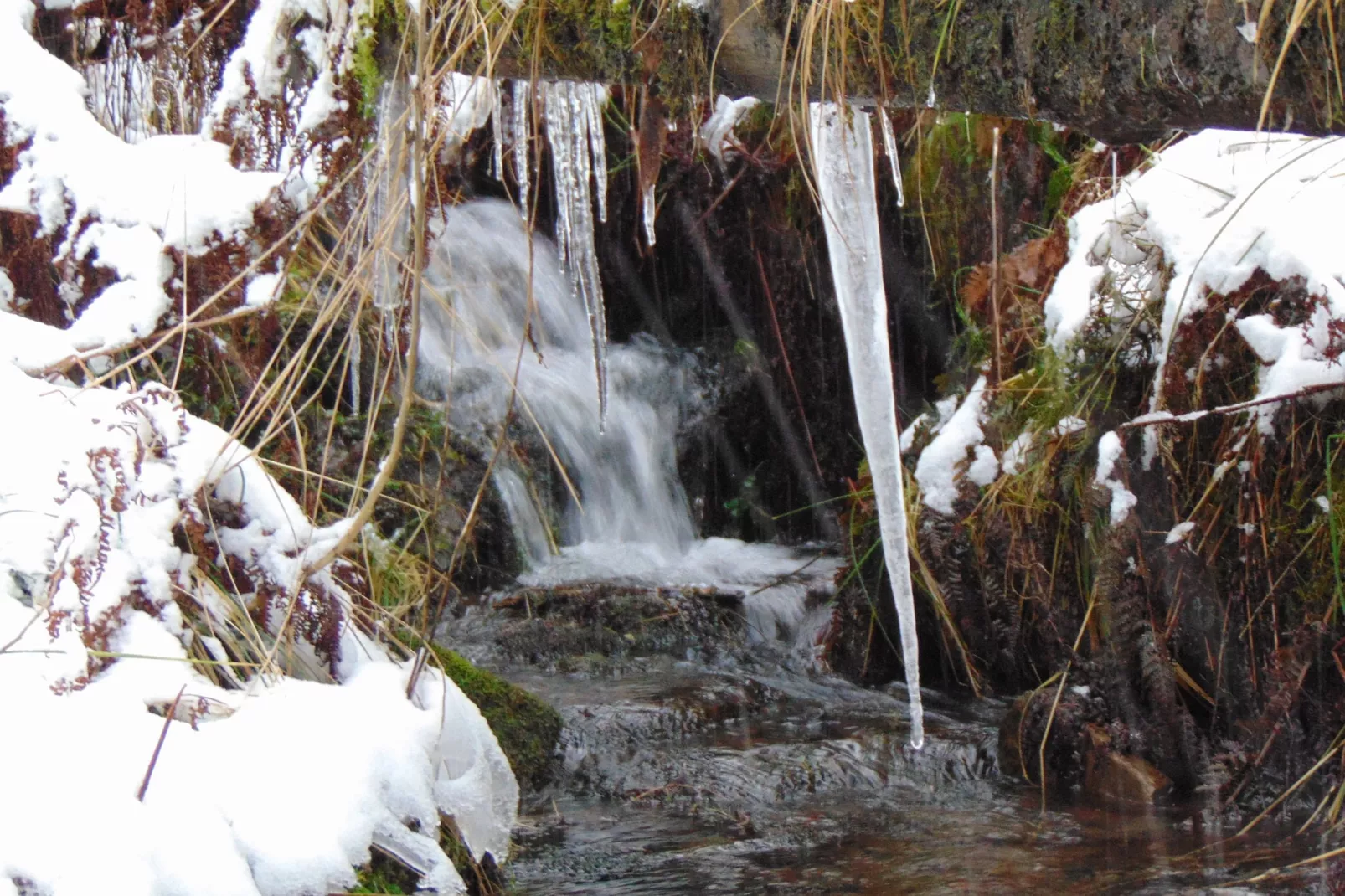 Wildemann-Area winter 5km