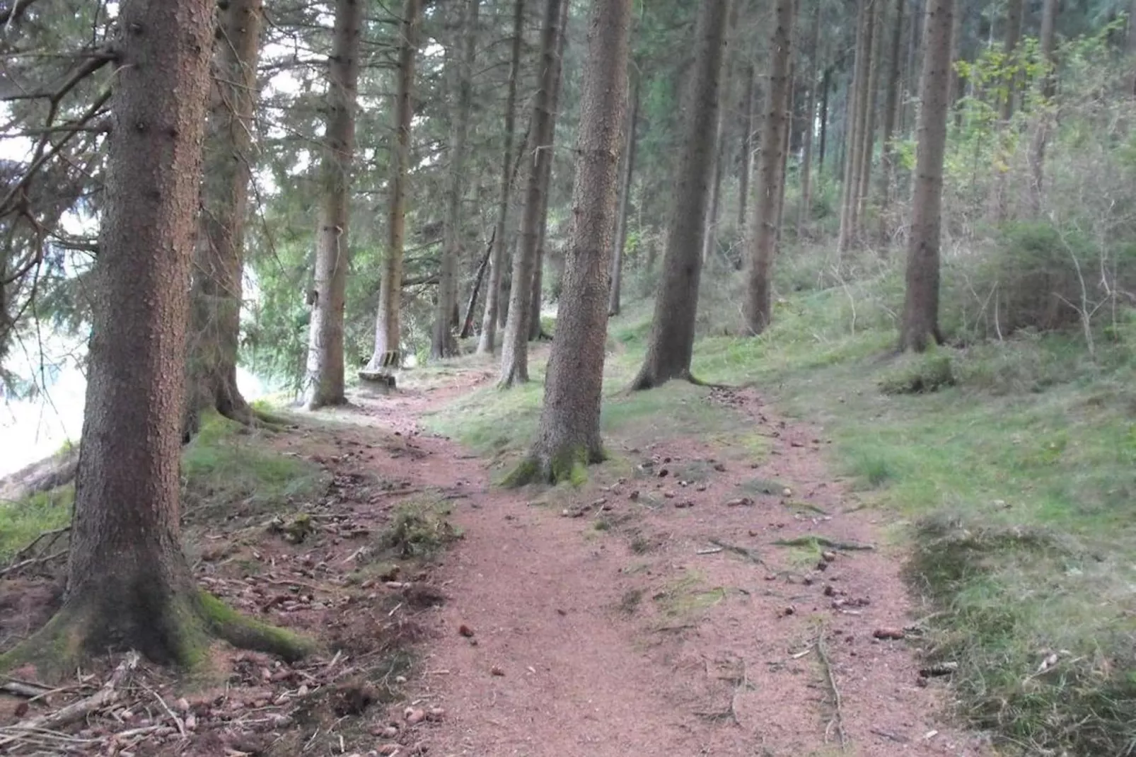 Wildemann-Areas summer 1km