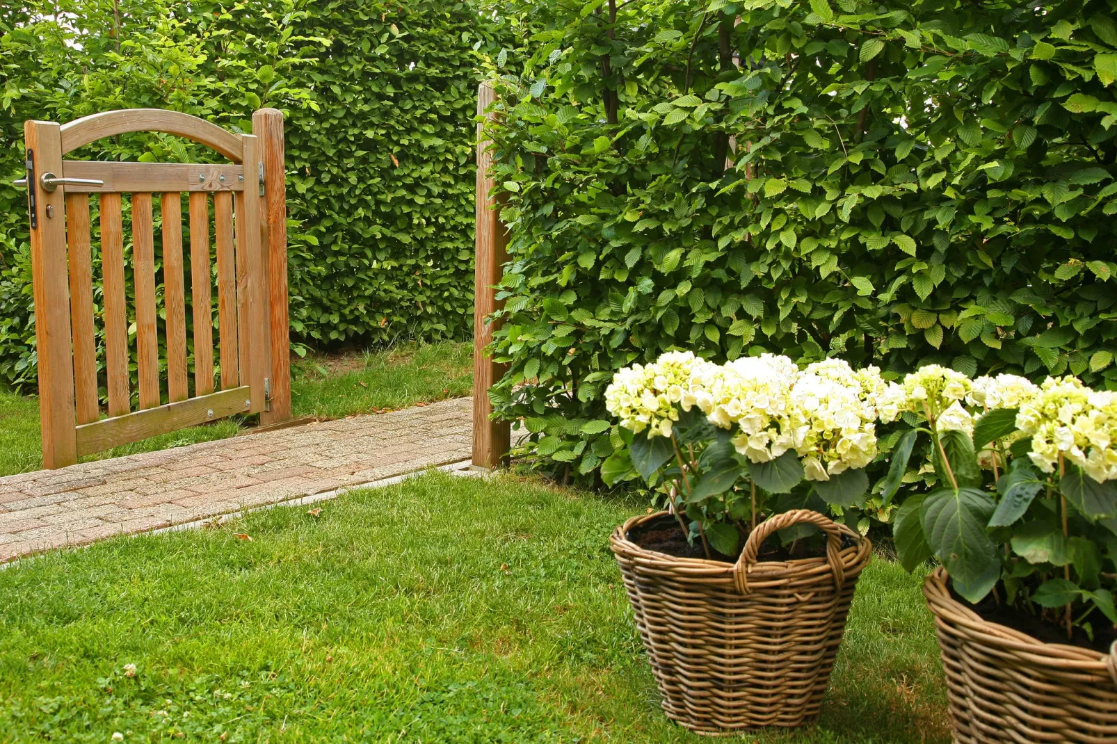 Hoeve in gunne winkel 2-Gardens summer