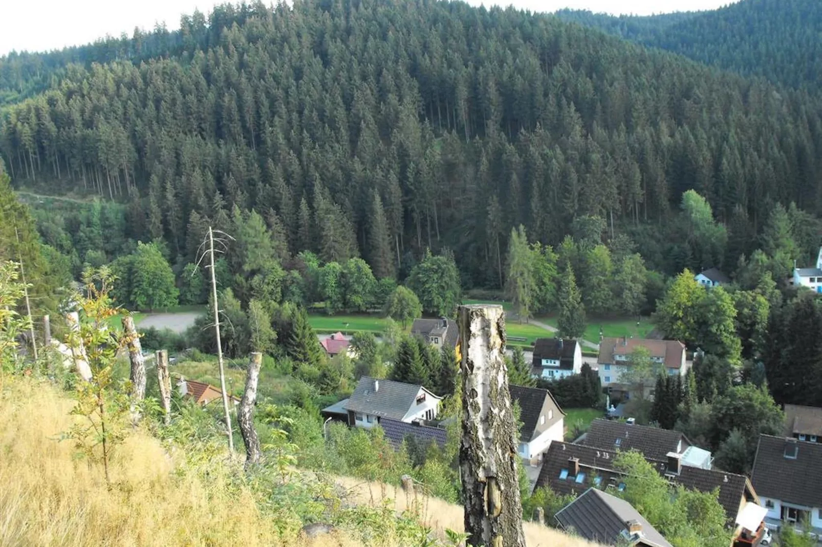 Wildemann-Areas summer 5km