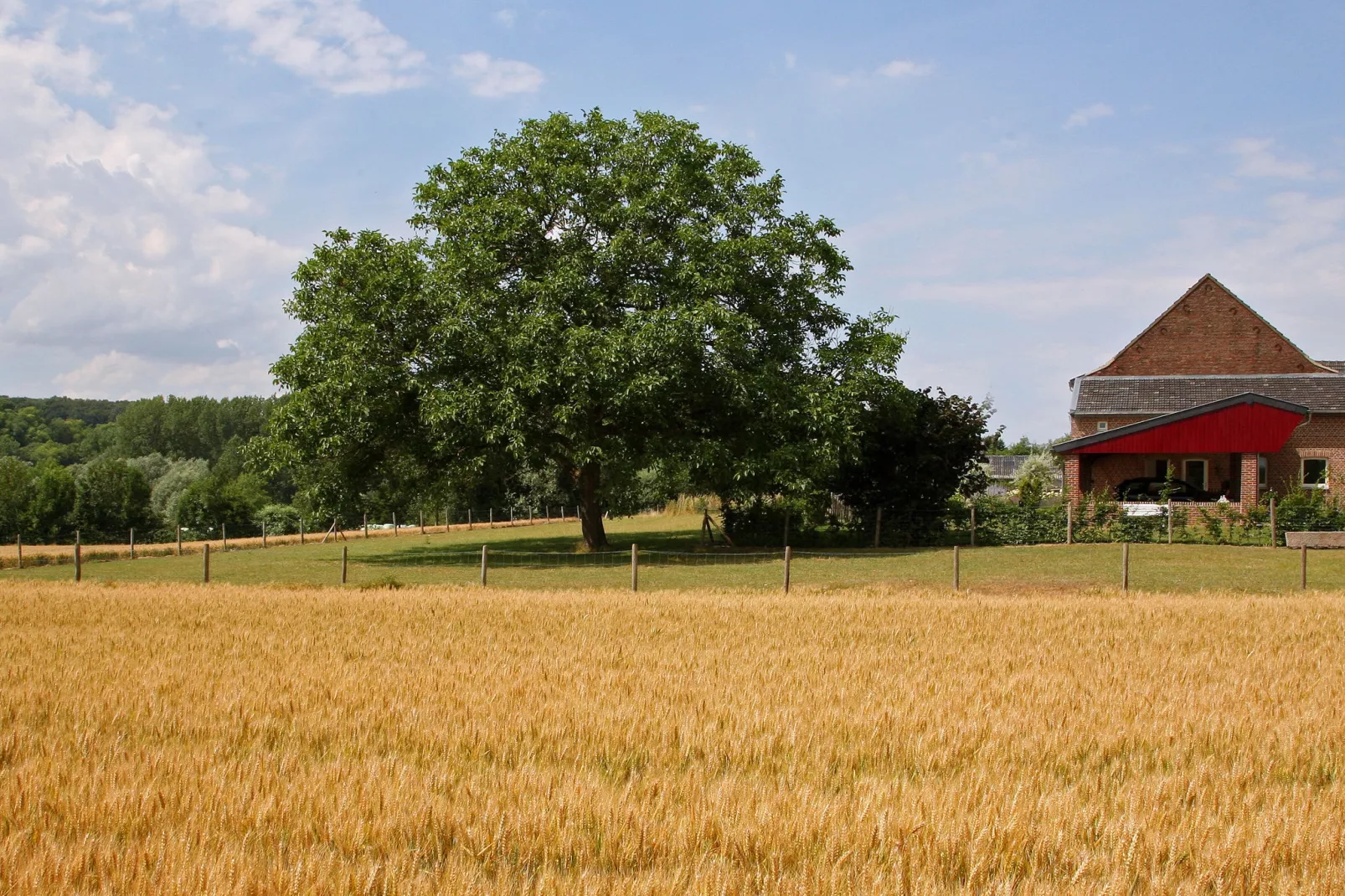 Hoeve in gunne winkel 1 en 2-Areas summer 1km