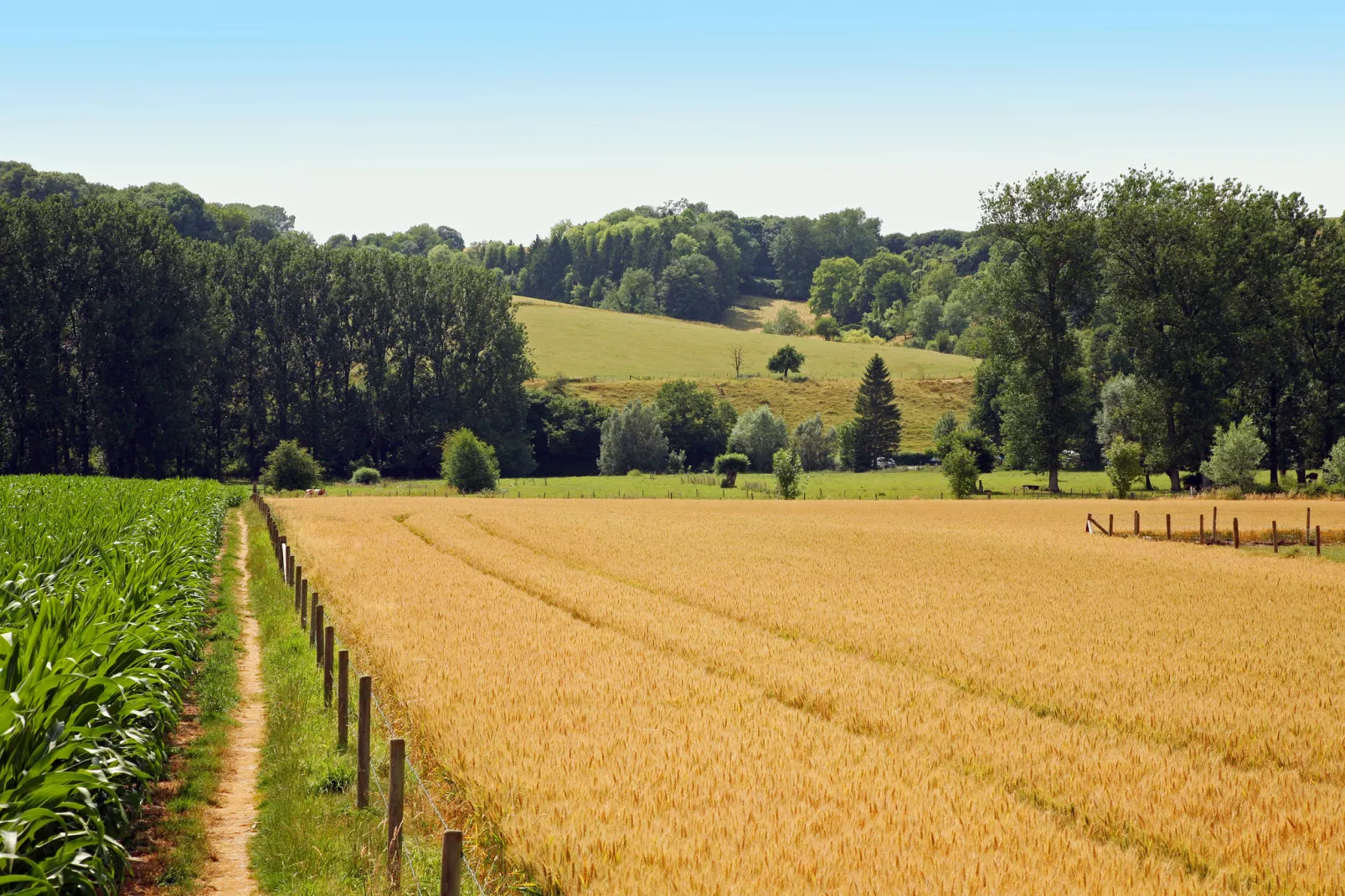 Hoeve in gunne winkel 1 en 2-Areas summer 1km