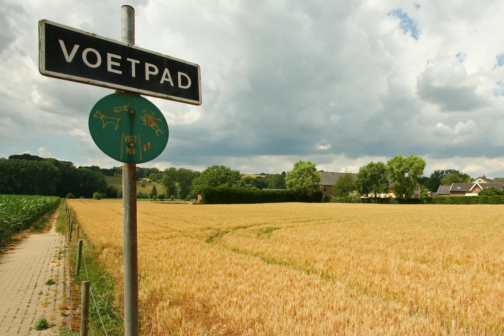 Hoeve in gunne winkel 1 en 2-Areas summer 1km