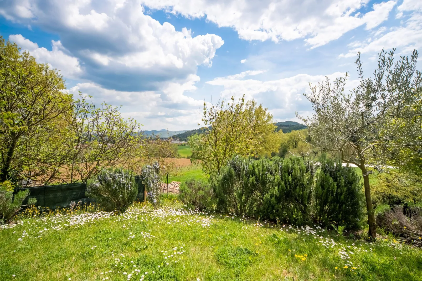 Stalla-View summer