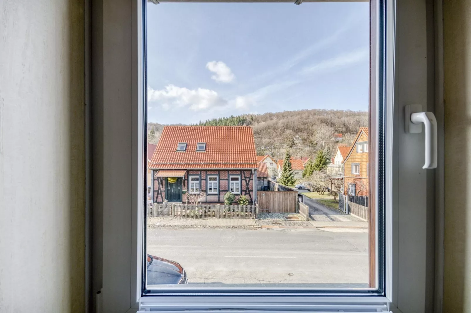 Waltraud-View summer