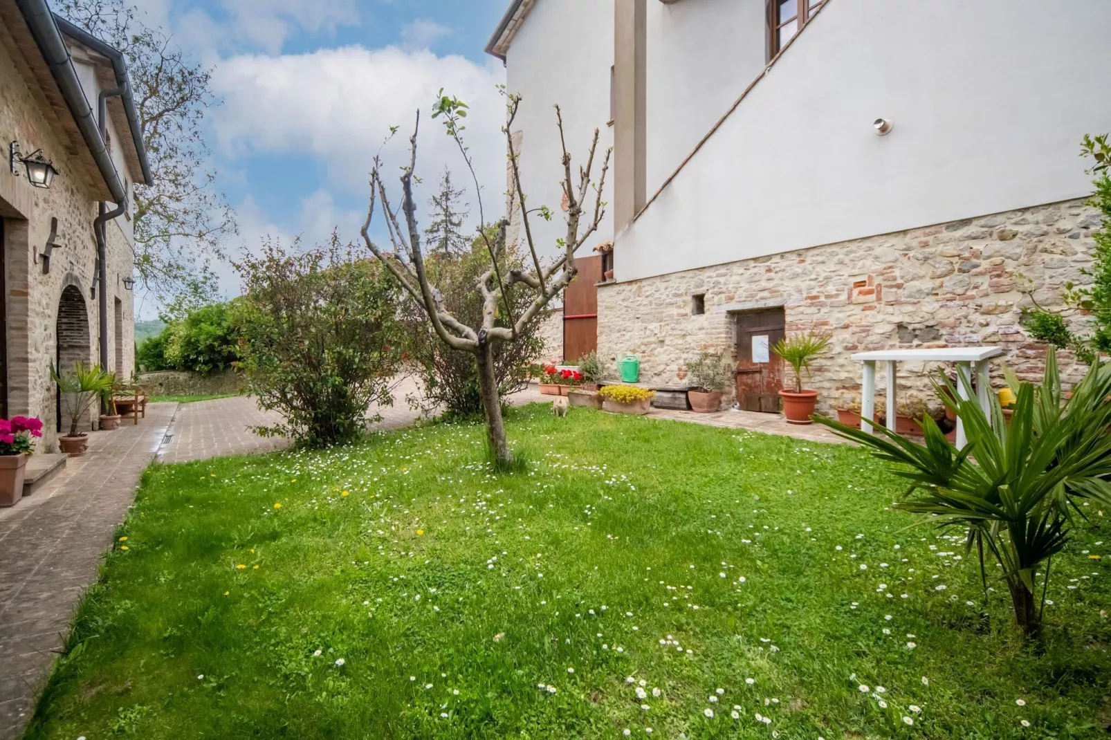 Essiccatoio Rosa-Gardens summer