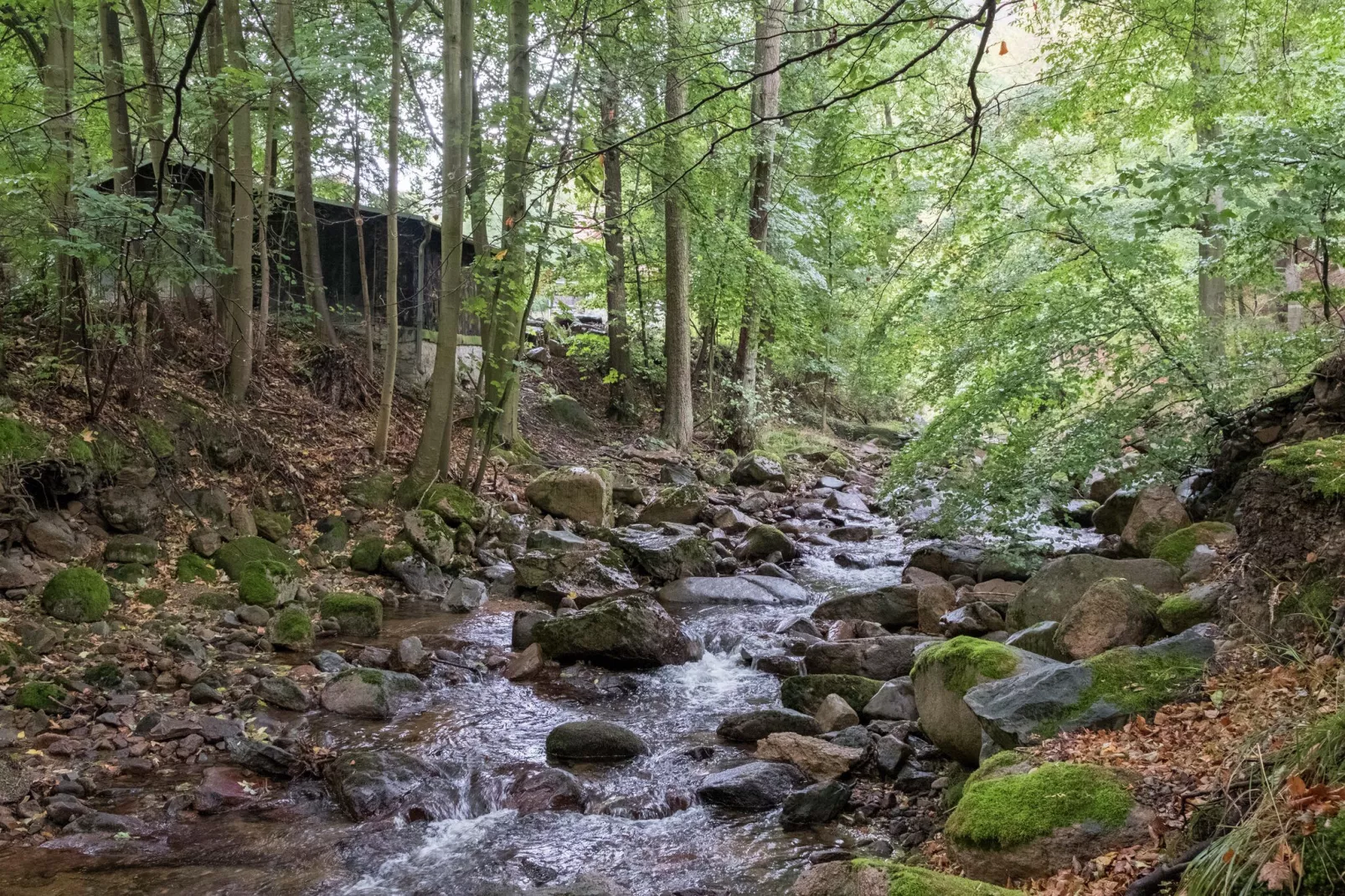 Edda-Areas summer 5km
