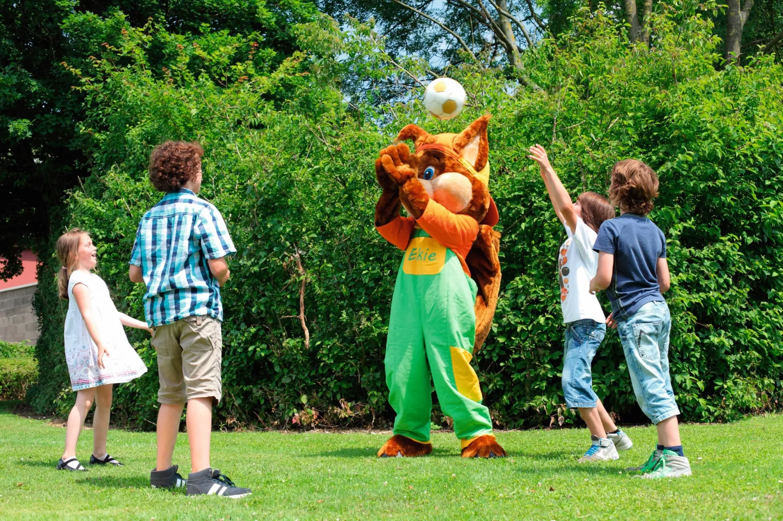 Bungalowpark Schin op Geul 3-Park facilities