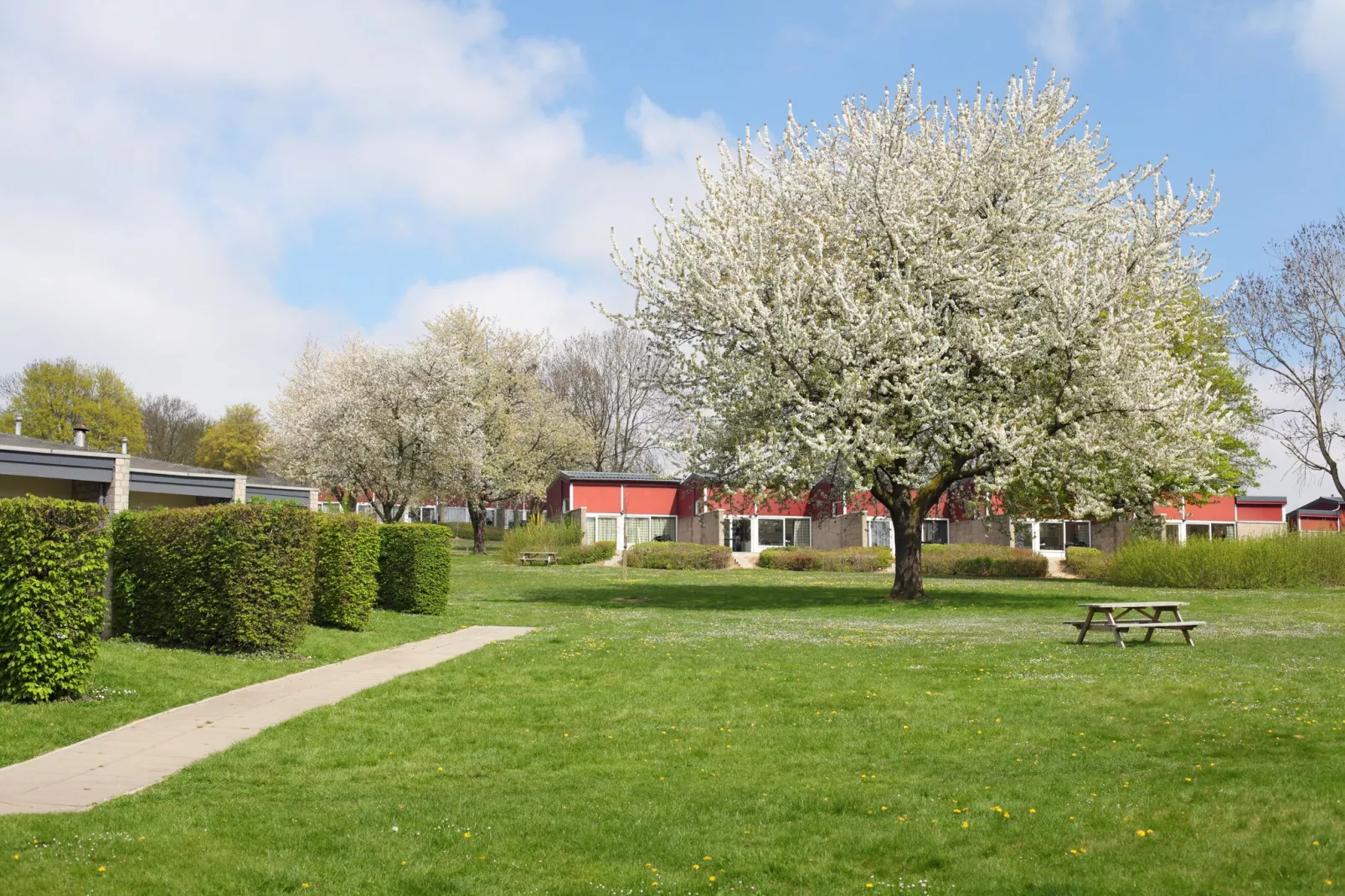 Bungalowpark Schin op Geul 6-Park facilities