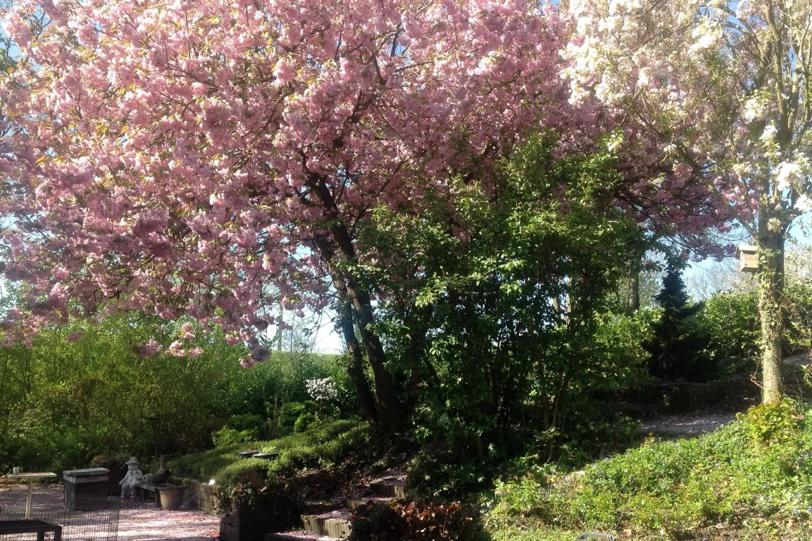 Geulhuisje-Gardens summer