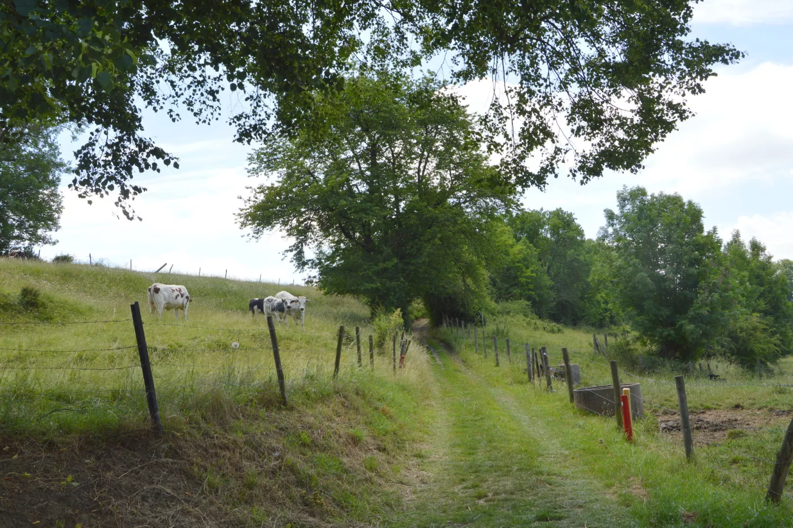 Geulhuisje-Areas summer 1km