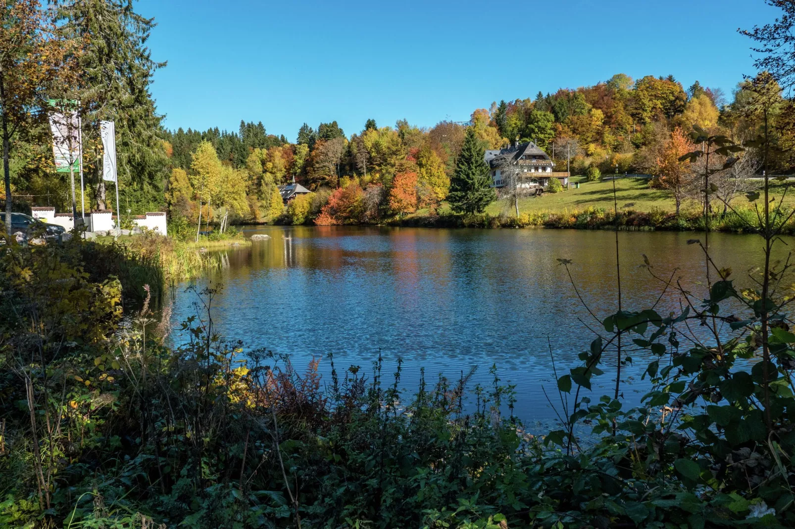 Altes Forsthaus-Gebiete Sommer 1 km