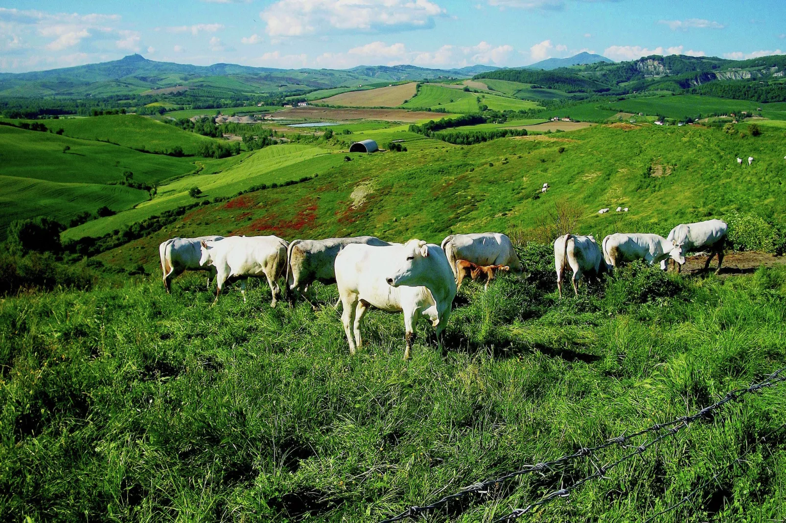 La Colonnetta-Areas summer 1km