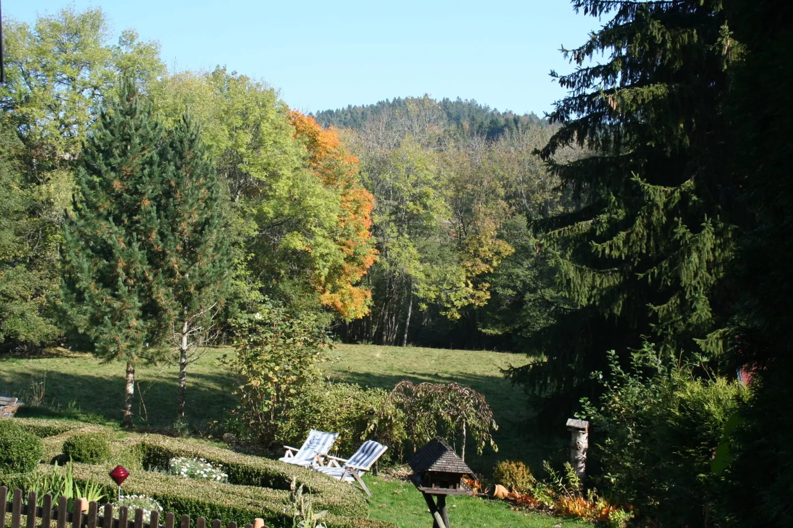 Altes Forsthaus-Garten Sommer