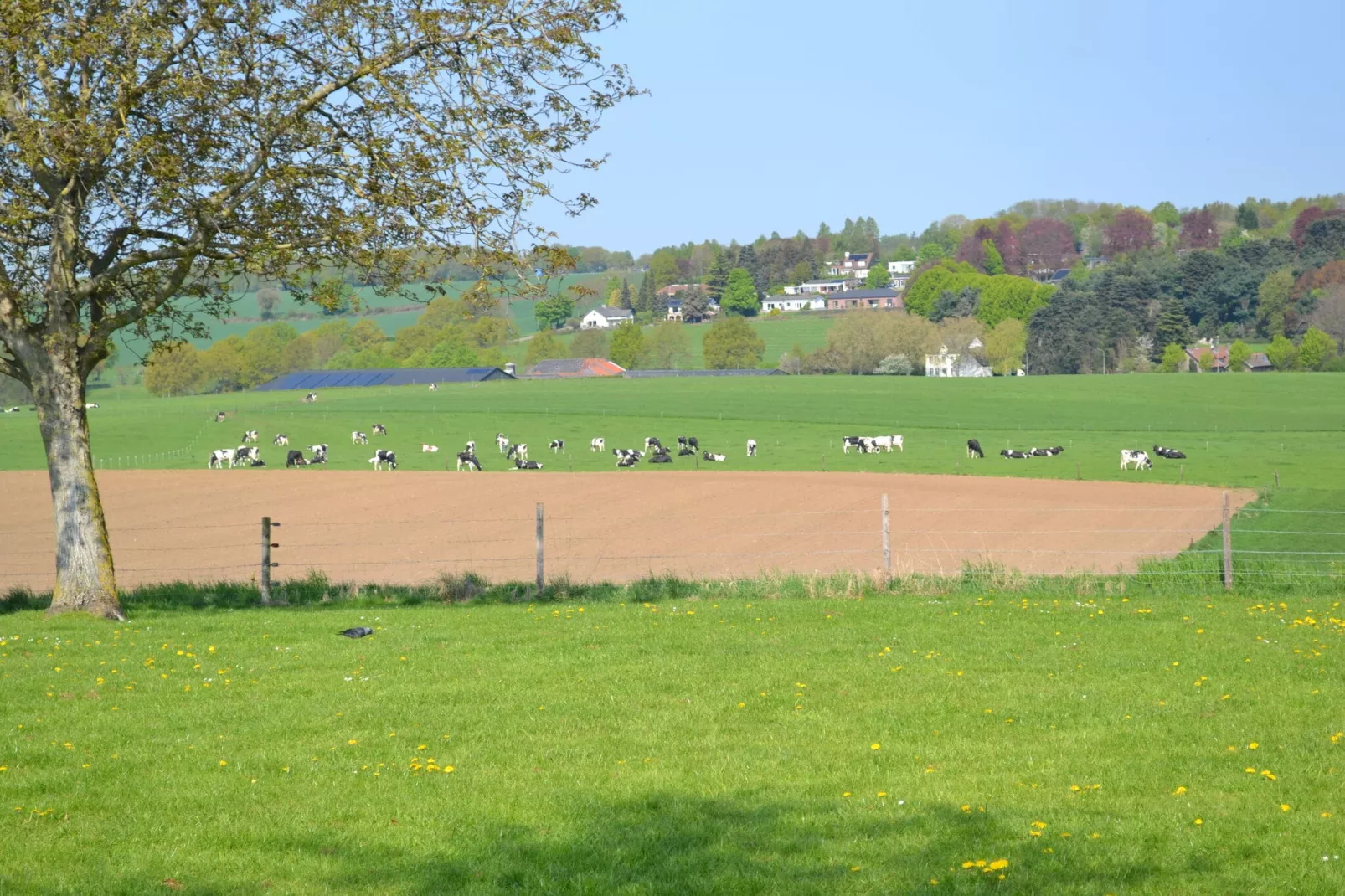 Heimerhöfkes -  1-Areas summer 20km