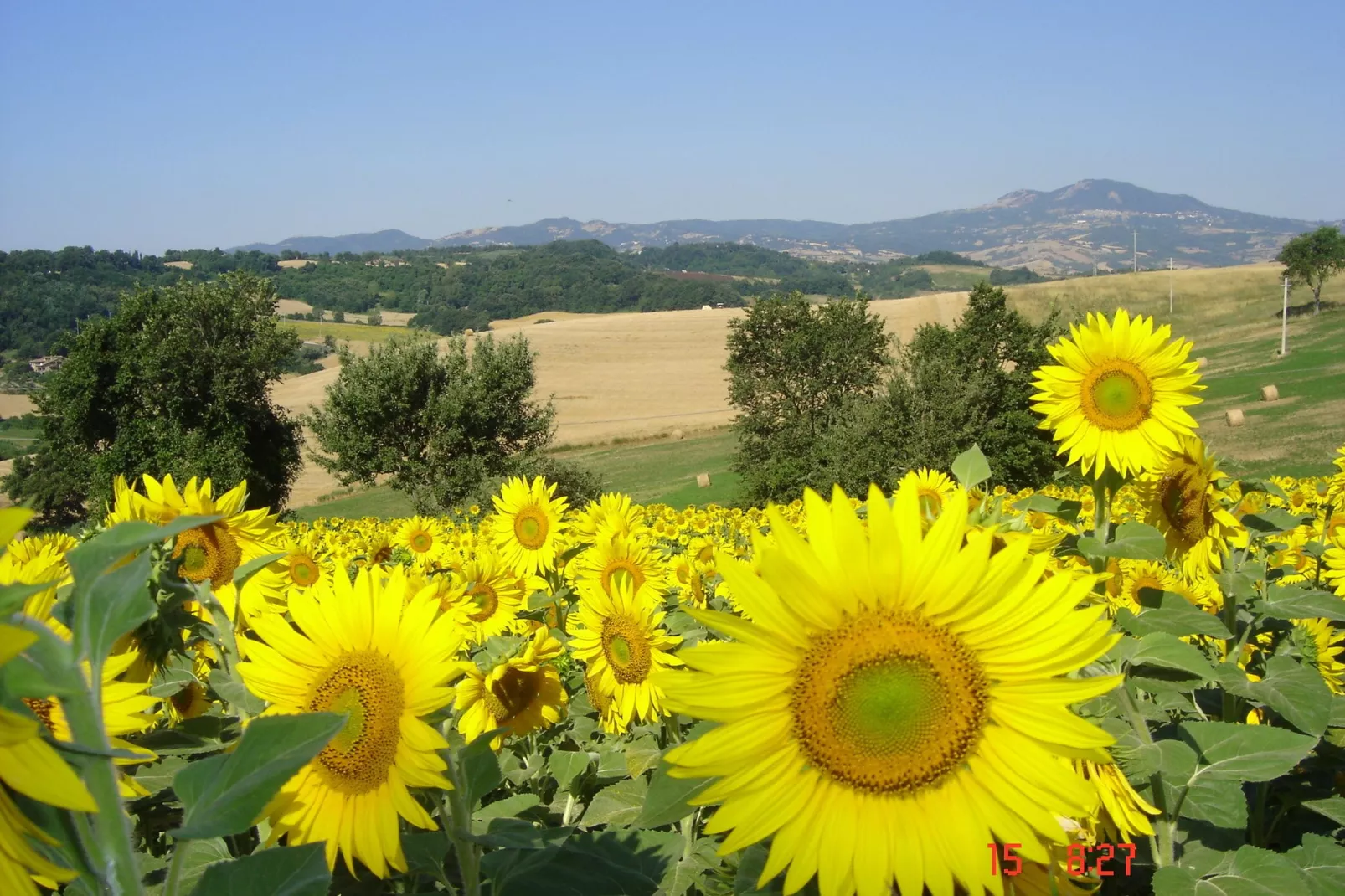 Il Capitello-View summer