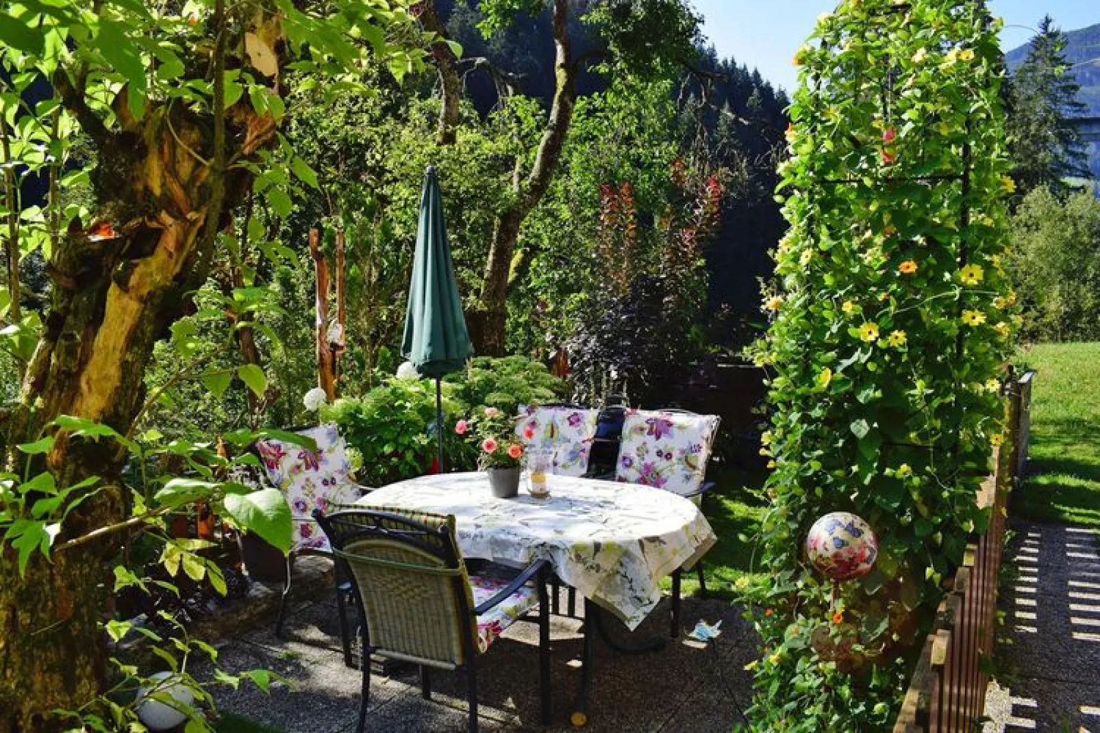 FeWo Kleinpötting Hüttau-Gardens summer