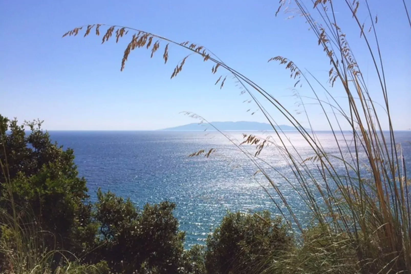 Le Cannelle-View summer
