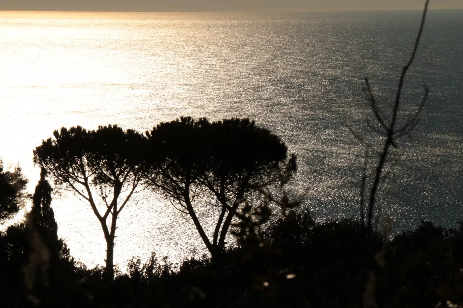 Le Cannelle-View summer