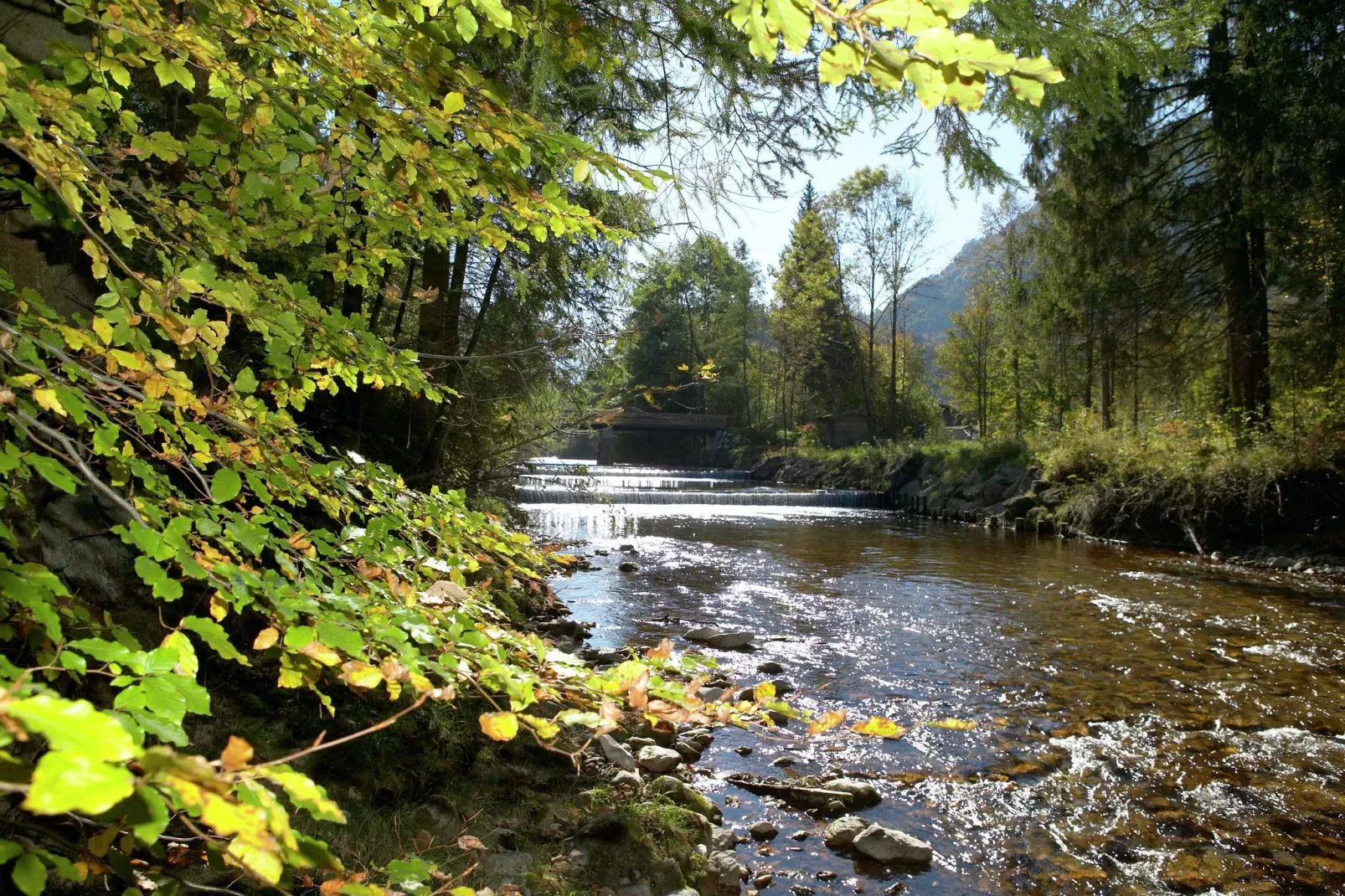 Im Chiemgau-Zones d'été à 5 km