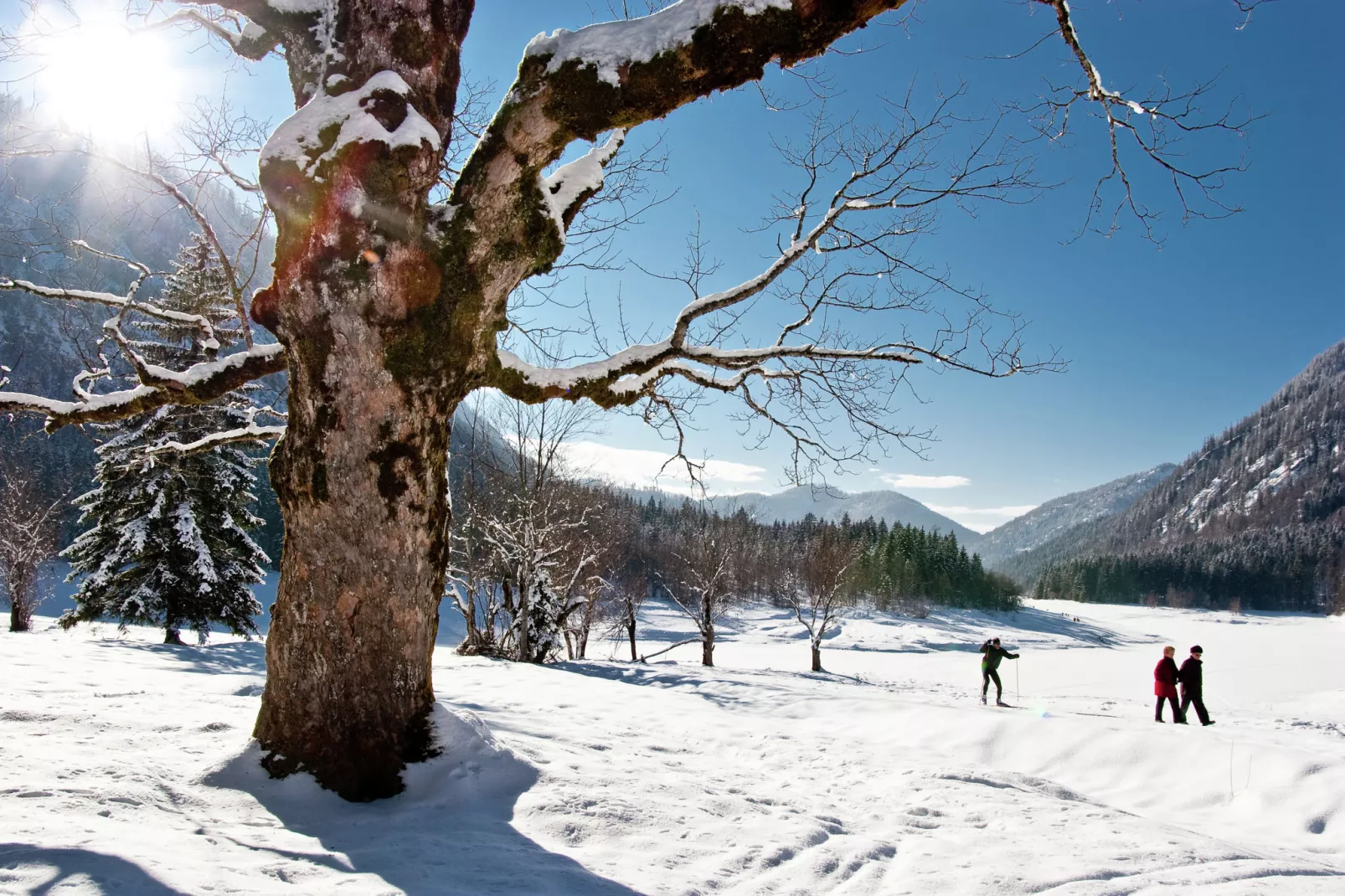 Im Chiemgau-Area within 1km in winter
