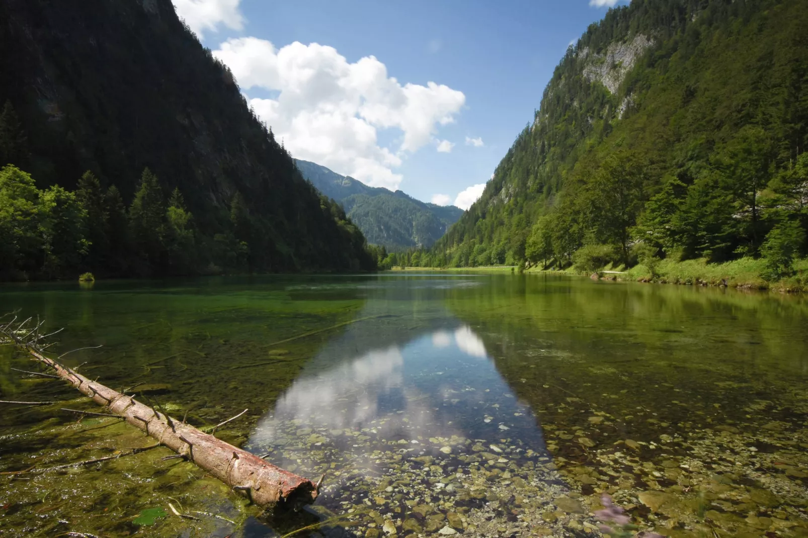 Im Chiemgau-Zones été à 5 km
