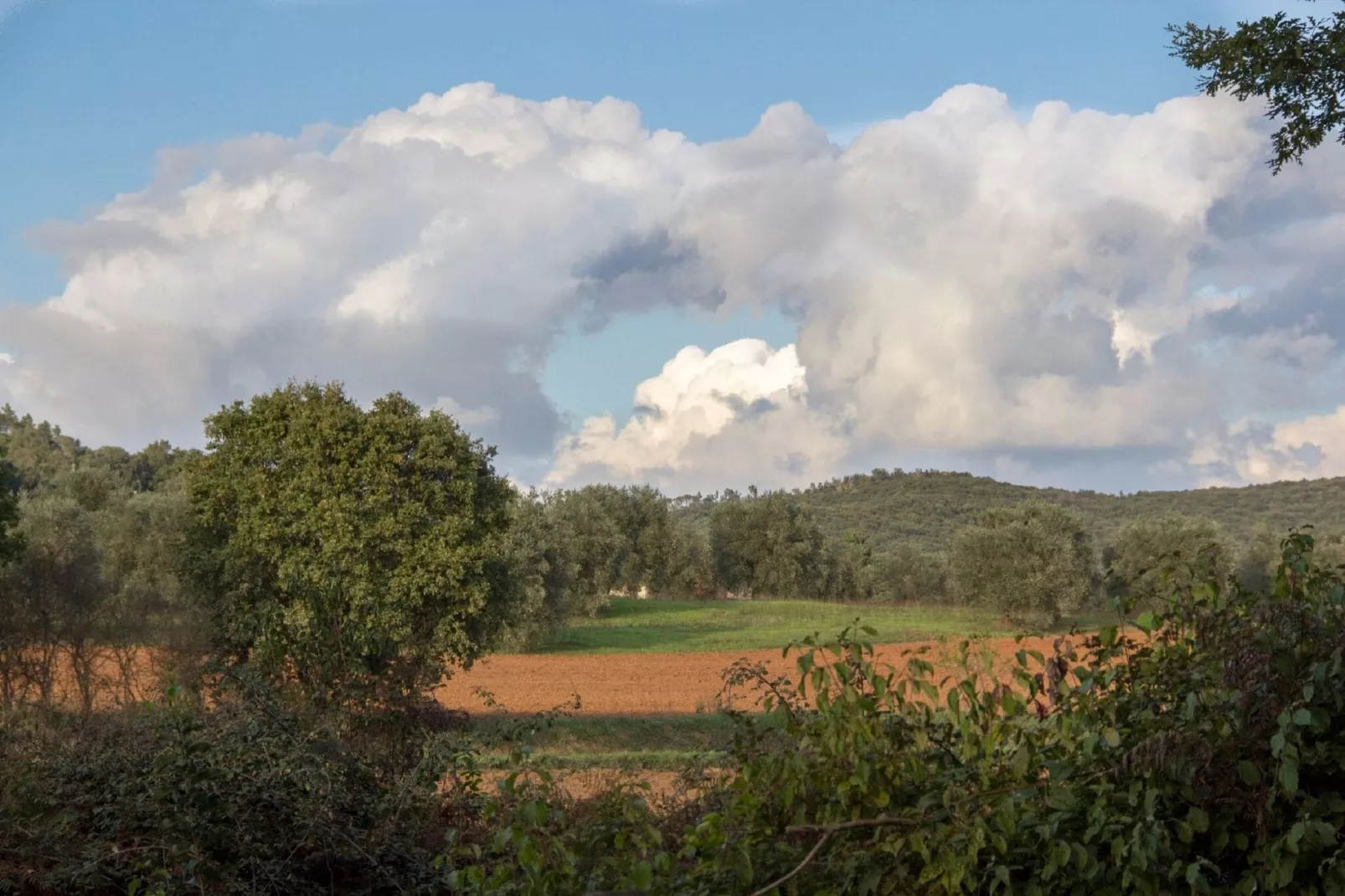 Itaca-View summer