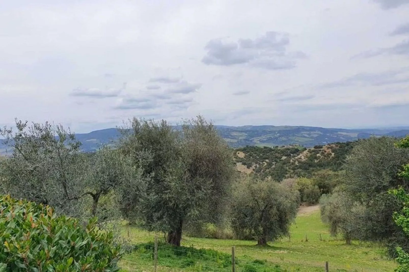 Appartamento Vista Tramonto-Gardens summer