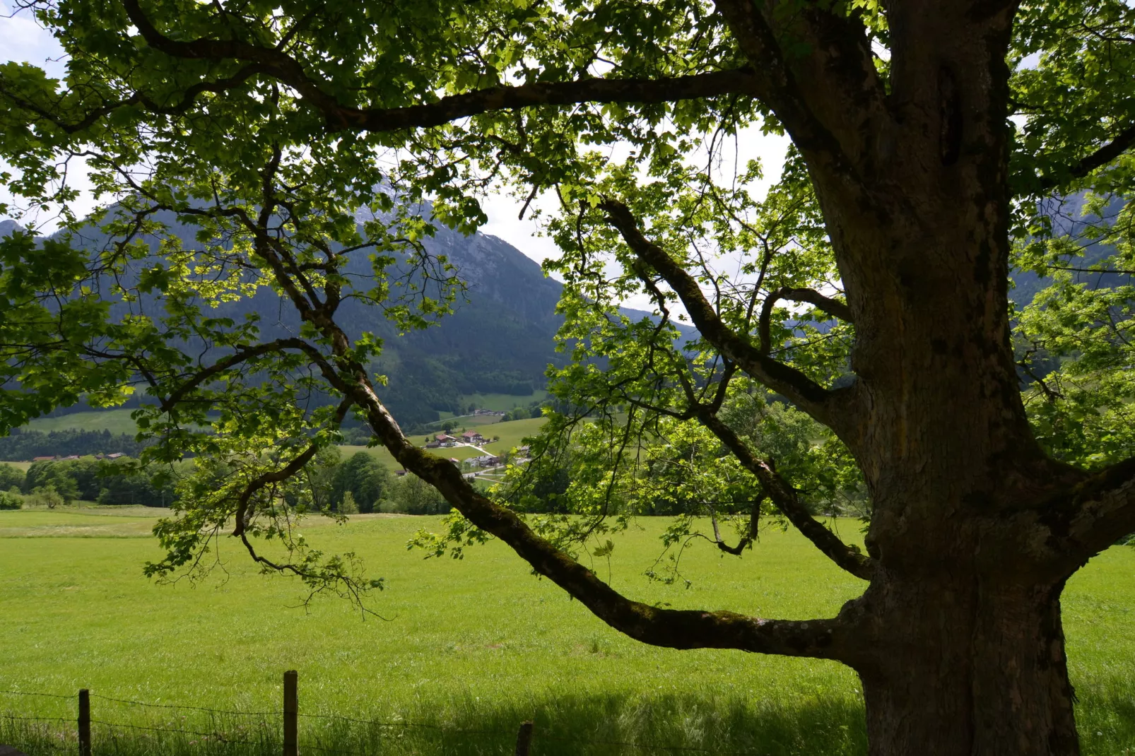 Schönau am Königssee-Areas within 5km in summer