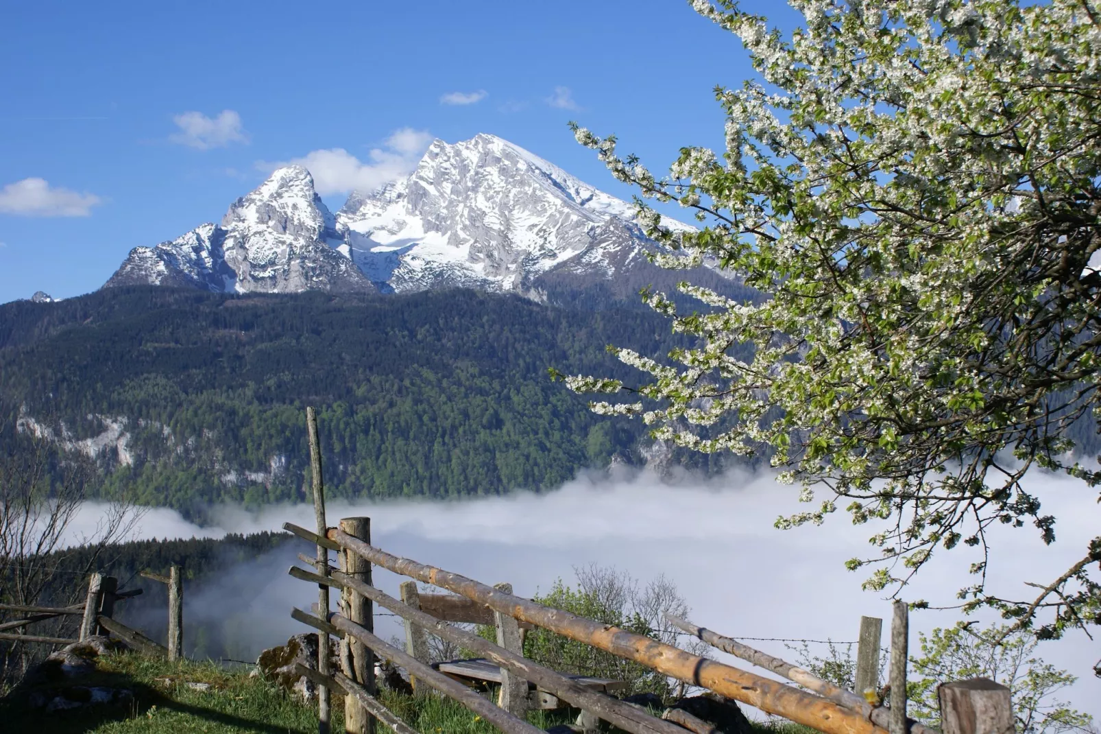 Schönau am Königssee-Areas within 20km in summer