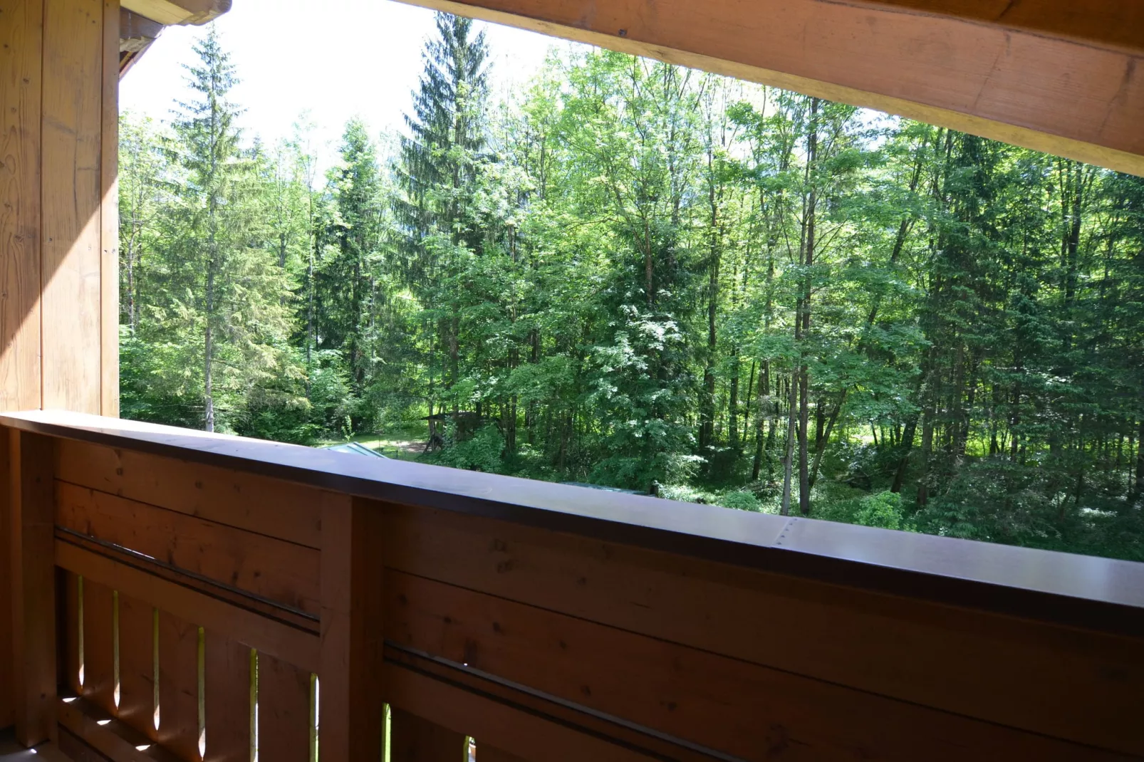 Schönau am Königssee-Aussicht Sommer