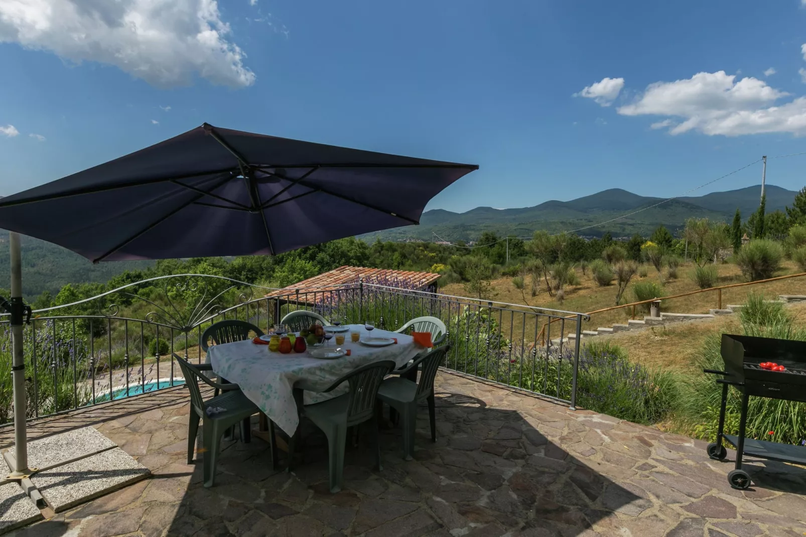 Monte Amiata-View summer