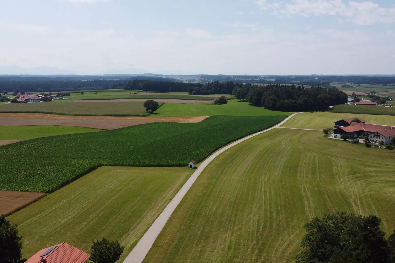 Almhütte-Aussicht Sommer