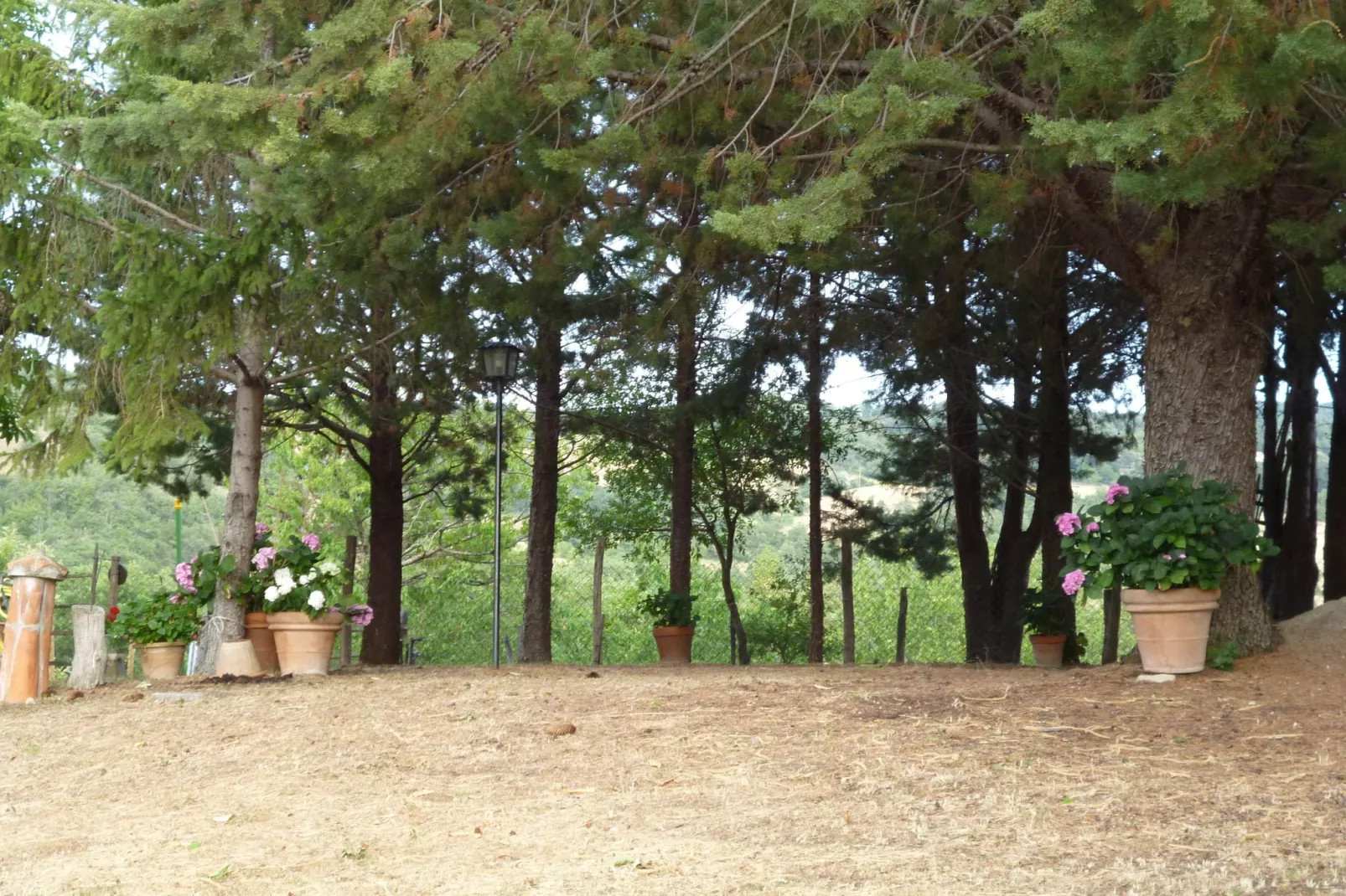 Baita del Por Azzolo-Gardens summer