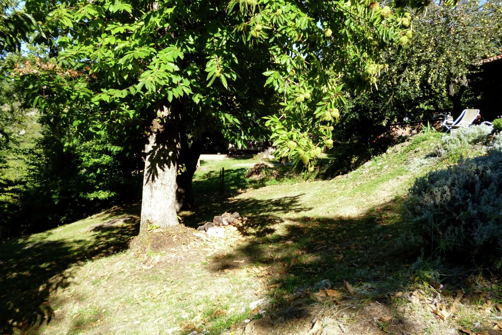 Baita del Por Azzolo-Gardens summer