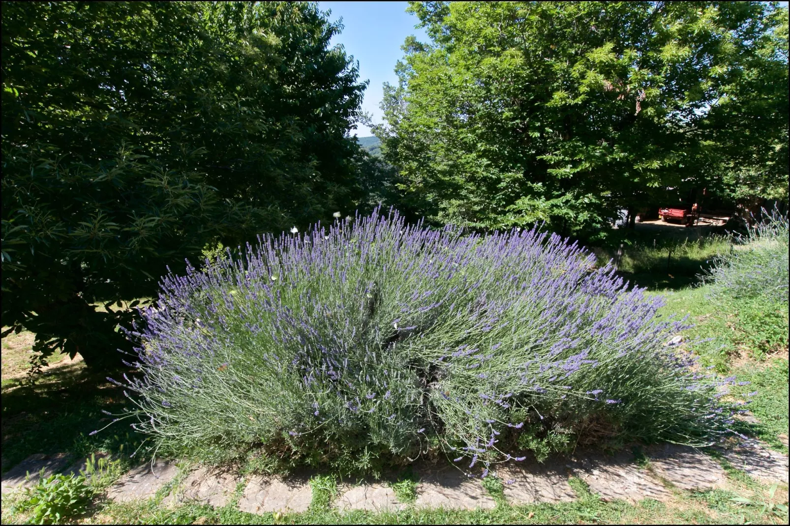 Baita del Por Azzolo-Gardens summer