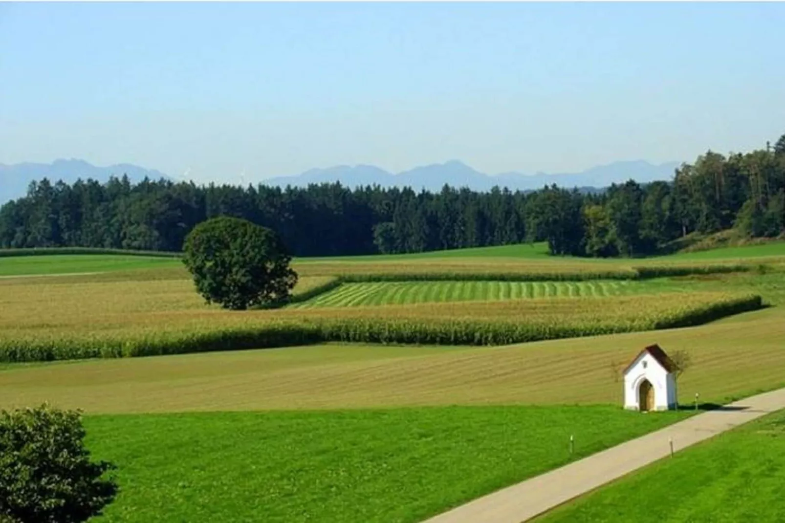 Almhütte-Zones été à 1 km