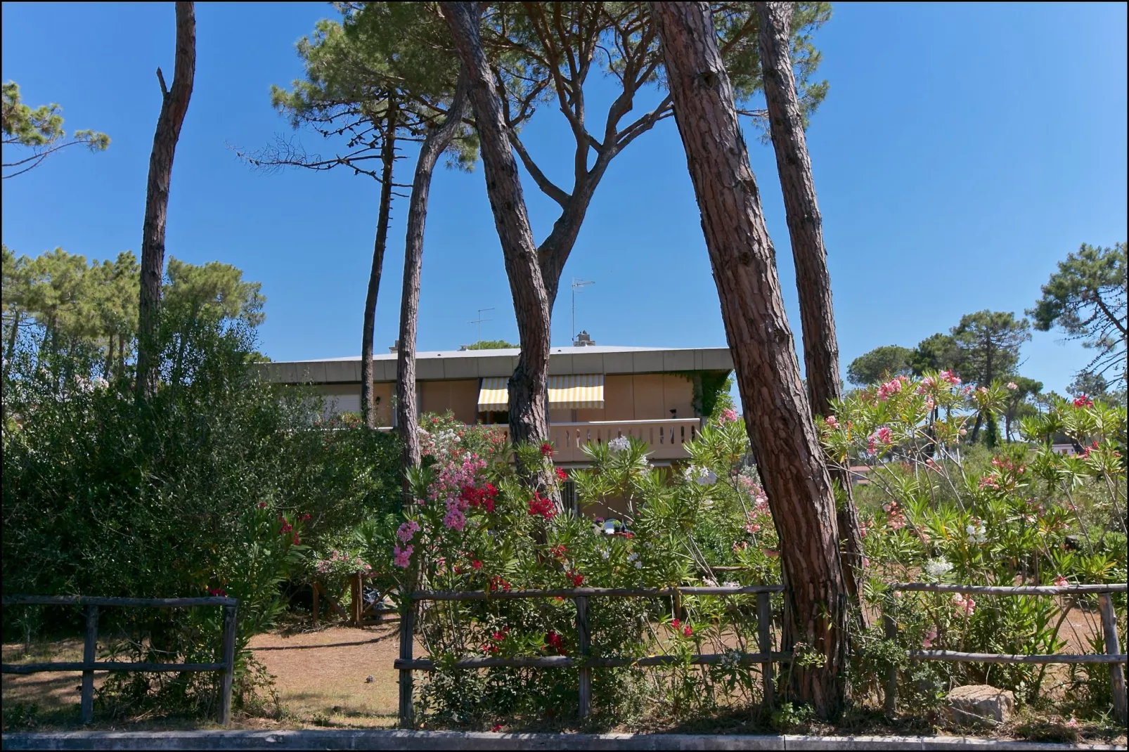 Il Girasole-Exterior summer