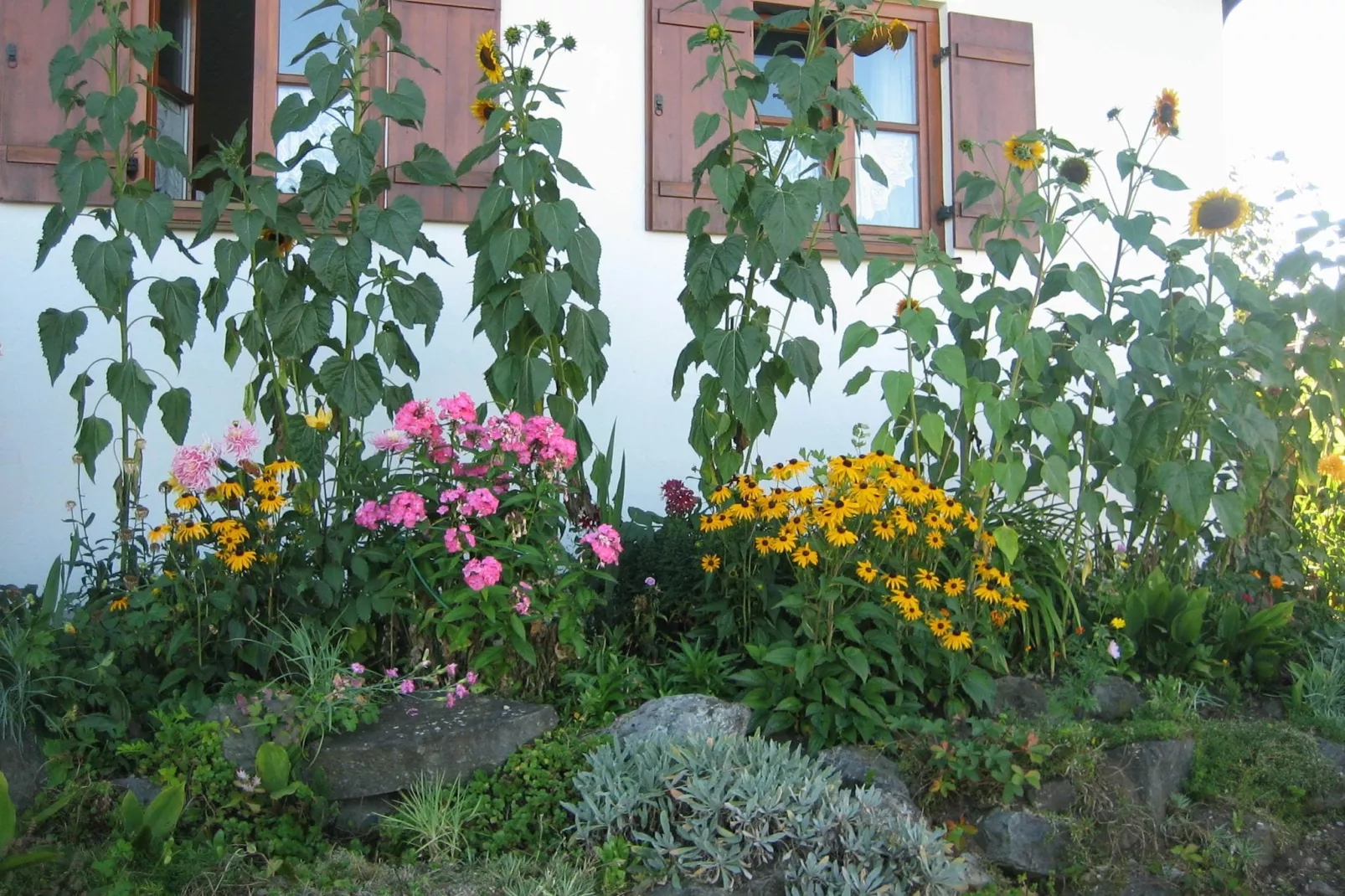 Im Pfaffenwinkel-Gardens in summer