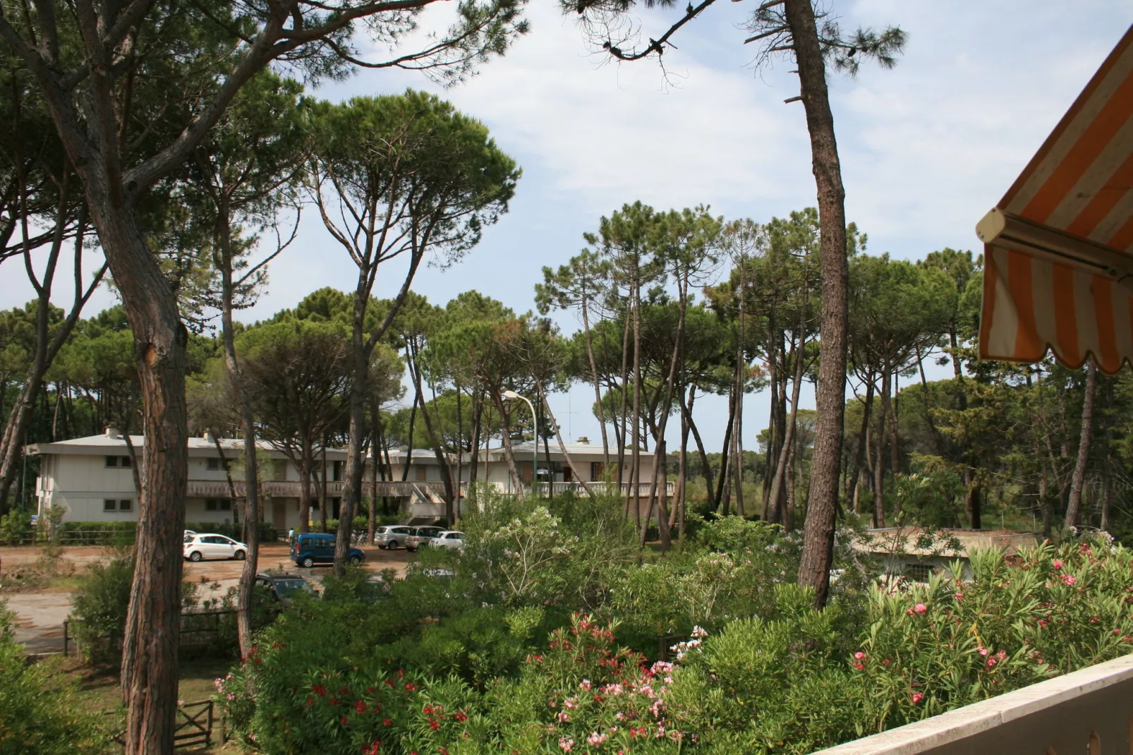 Il Girasole-View summer