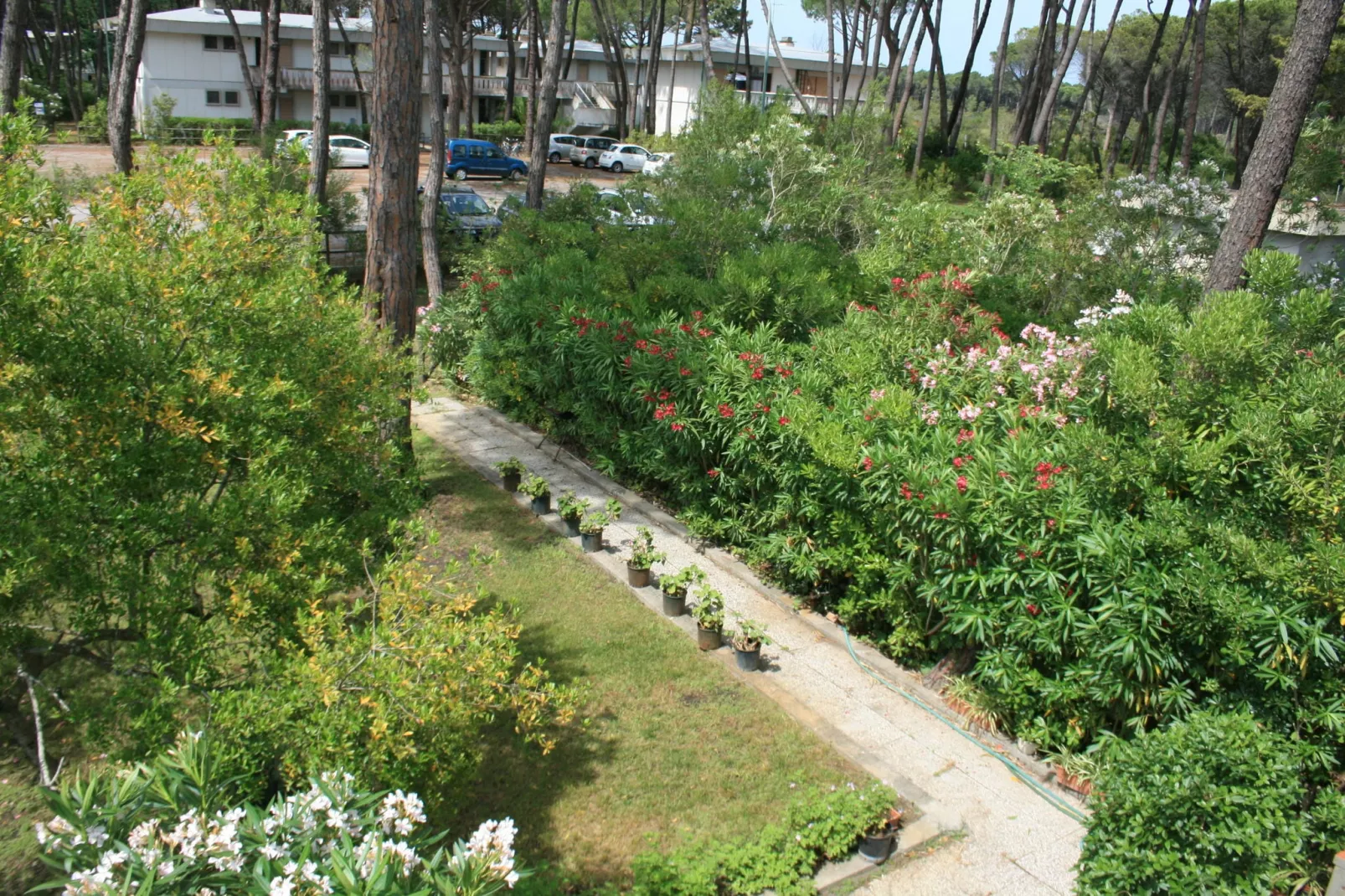 Il Girasole-View summer