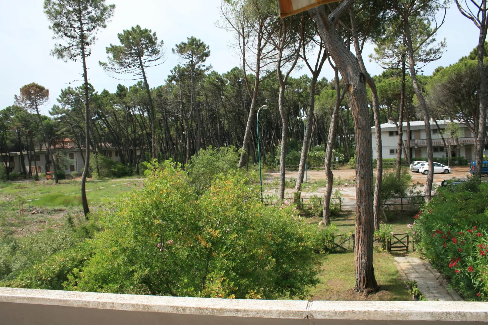 Il Girasole-View summer