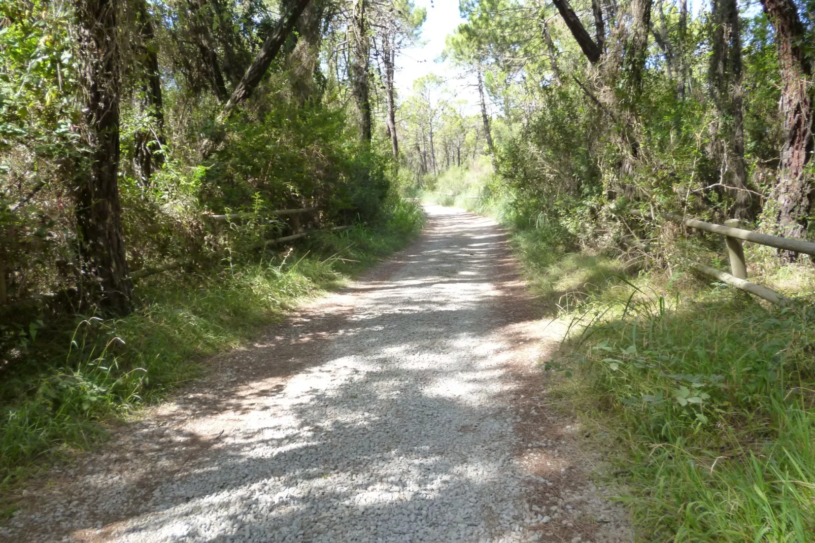 Il Girasole-Areas summer 1km