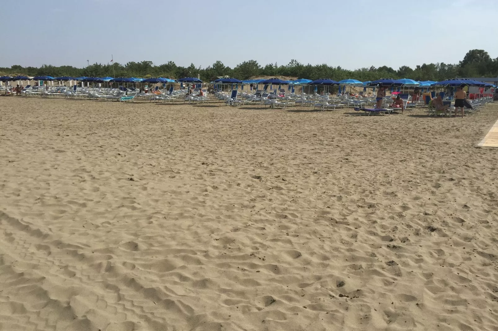 Il Girasole-Areas summer 1km