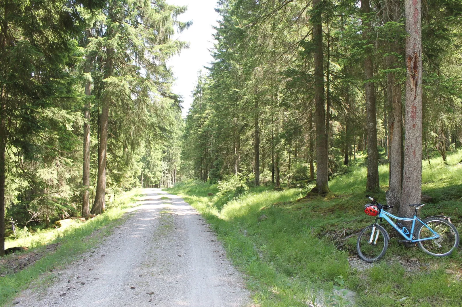 Trauchgau-Areas summer 1km